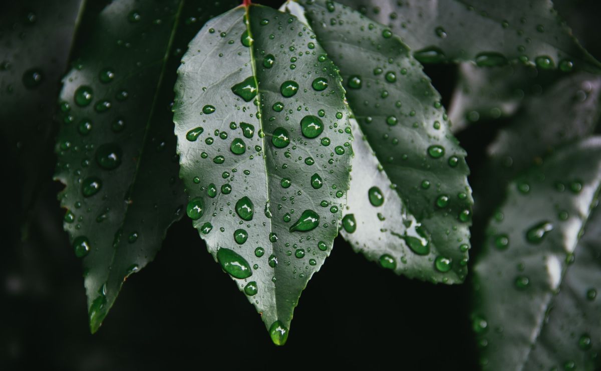 「一日中雨が降ったりやんだりしていた」に関連する英語フレーズ