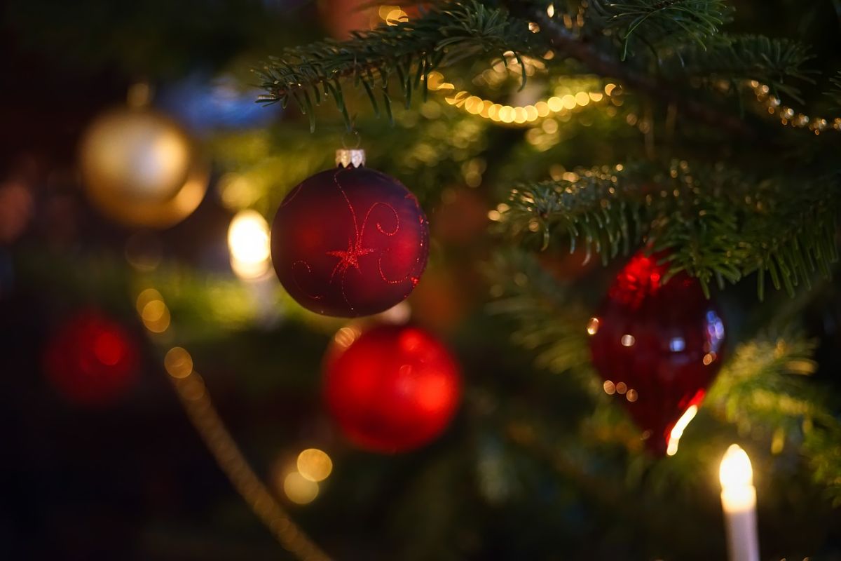 「素敵なクリスマスを」に関連する英語フレーズ