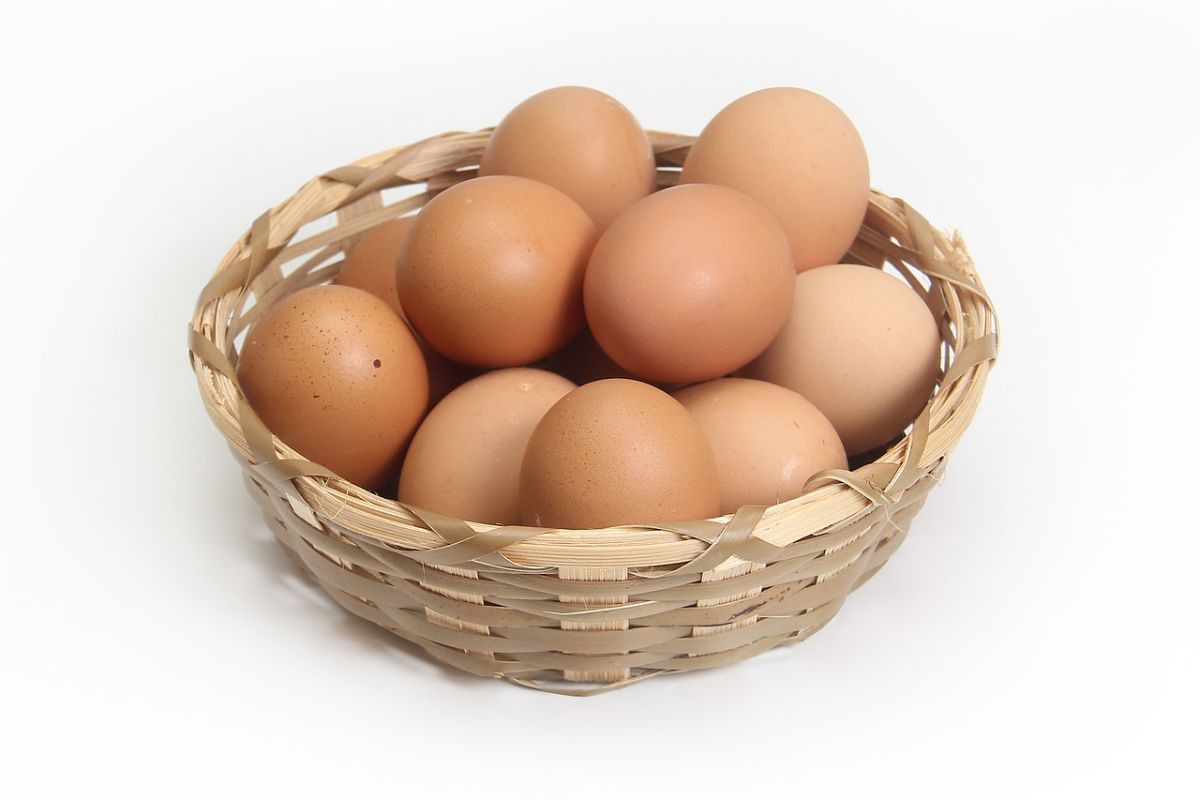 「一つの籠に卵を盛るな」って英語でなんて言うの？