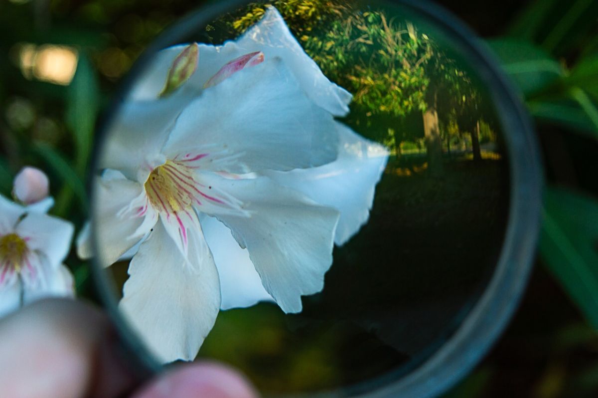 “magnifying glass” に関連する英語フレーズ